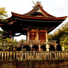 足高神社(投稿日:2025年8月28日) 写真