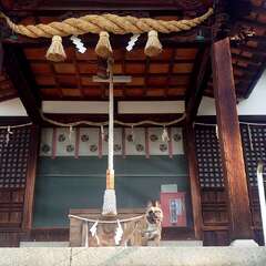 写真