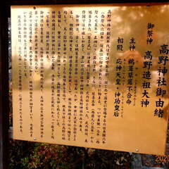 高野神社(投稿日:2025年8月26日) 写真