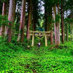 荒戸神社(投稿日:2025年9月3日) 写真