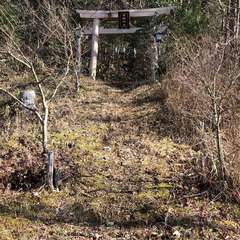 参道入口です(投稿日:2019年4月29日) 写真