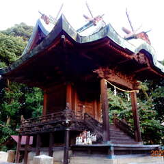 若宮八幡宮(投稿日:2025年8月28日) 写真