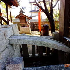 美和神社(投稿日:2025年8月28日) 写真