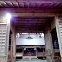 長田神社(投稿日:2025年8月27日) 写真