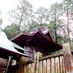 太老神社(投稿日:2025年8月28日) 写真