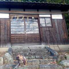 天満神社(投稿日:2025年1月23日) 写真