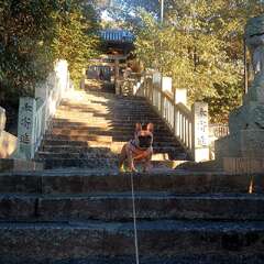 鴨神社(投稿日:2025年2月23日) 写真