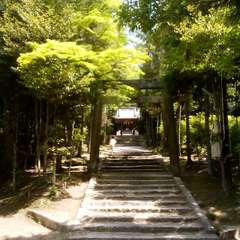 真止戸山神社向かいの向日神社(投稿日:2021年5月30日) 写真