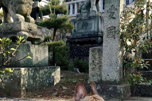 写真