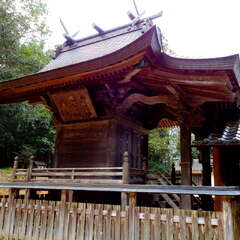 珍敷神社(投稿日:2025年8月26日) 写真