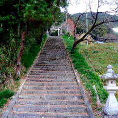 小田草神社(投稿日:2025年8月26日) 写真