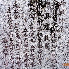 鴨神社(投稿日:2025年8月27日) 写真