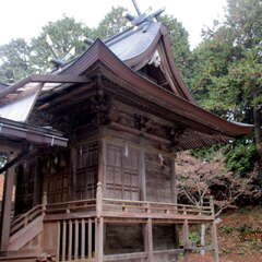 大和神社(投稿日:2025年7月30日) 写真