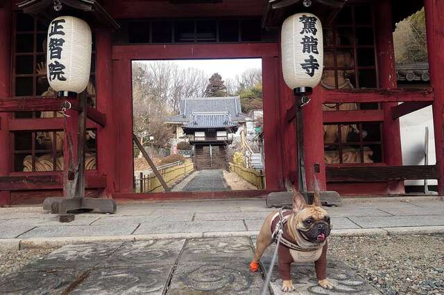 写真