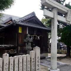 写真