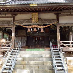 投稿日:2022年3月13日 写真