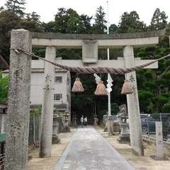 投稿日:2022年7月11日 写真