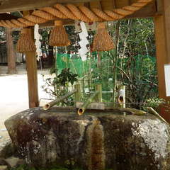 投稿日:2022年3月13日 写真