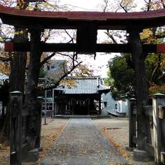 写真
