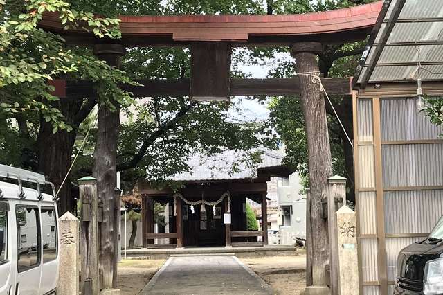 写真