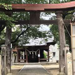 写真