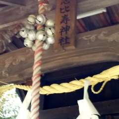 投稿日:2023年4月18日 写真