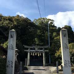 投稿日:2020年3月29日 写真