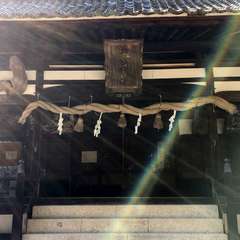 投稿日:2020年3月29日 写真