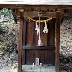 投稿日:2023年4月18日 写真