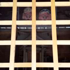 投稿日:2023年4月18日 写真