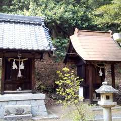 投稿日:2023年4月18日 写真