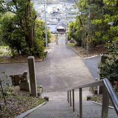 投稿日:2023年4月18日 写真