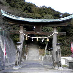 神田神社(投稿日:2025年8月6日) 写真