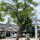 八幡神社