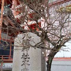 投稿日:2023年1月23日 写真