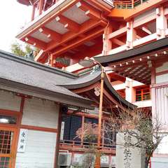 投稿日:2023年1月23日 写真