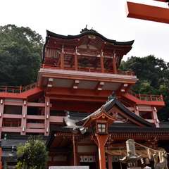 投稿日:2017年10月10日 写真