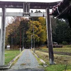 投稿日:2023年11月14日 写真