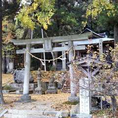 投稿日:2023年11月14日 写真