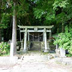 投稿日:2023年8月27日 写真