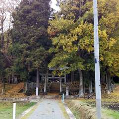 投稿日:2023年11月14日 写真