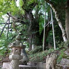 投稿日:2023年8月27日 写真