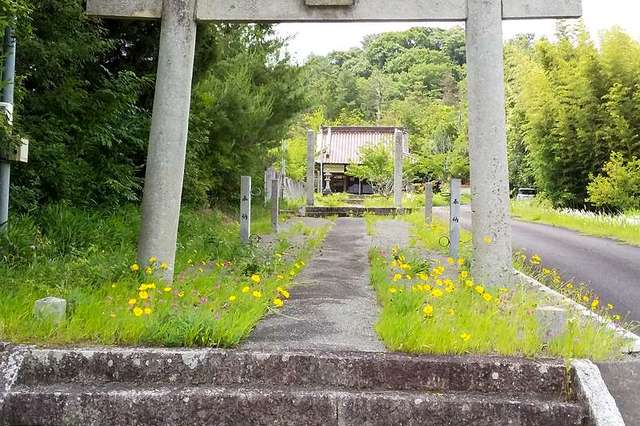 写真