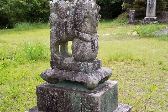 写真