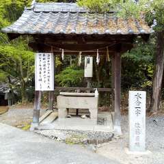 投稿日:2023年4月19日 写真