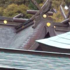 投稿日:2023年4月19日 写真