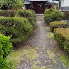 投稿日:2023年4月19日 写真