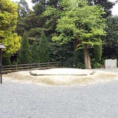 投稿日:2023年4月19日 写真