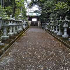 投稿日:2023年4月19日 写真