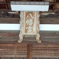 投稿日:2023年4月19日 写真